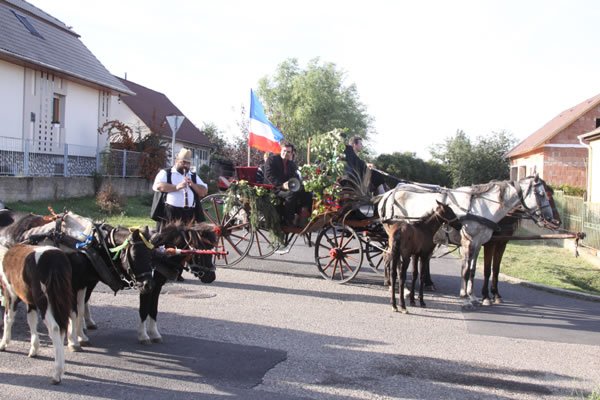 gyula2.jpg